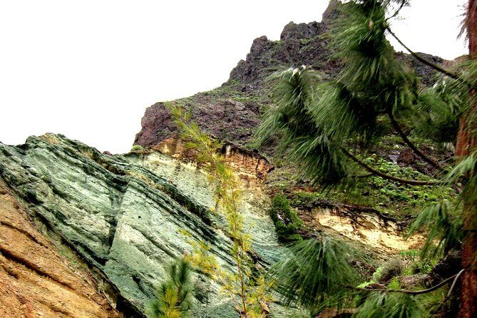 Grand Tour in Gran Canaria - Value for $54.41: What You’re Really Getting