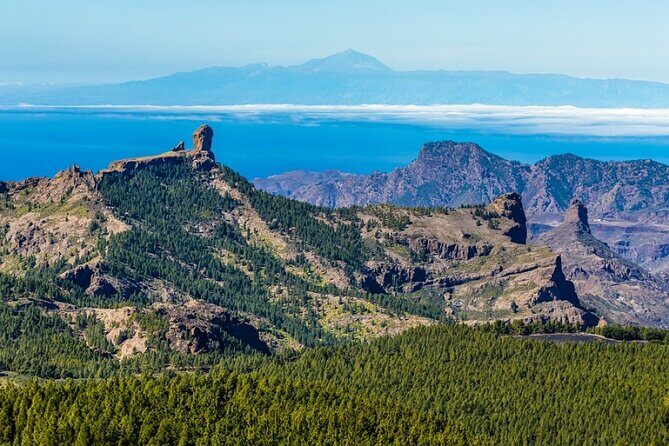 Guided tour: Discover Gran Canaria - Key Things to Know Before You Go