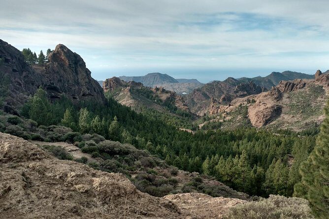 Guided tour: Discover Gran Canaria - Why This Gran Canaria Coach Tour Works for One-Day Visitors