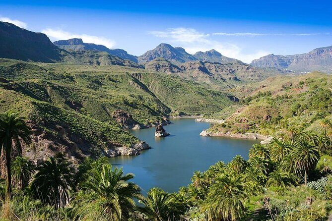 Guided tour: Discover Gran Canaria - Stop 5: Fataga Aloe Vera Plantation and the Hands-On Demo