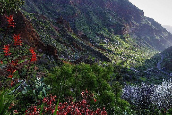 Guided tour: Discover Gran Canaria - Lunch, Drinks, and Why You Should Budget Ahead