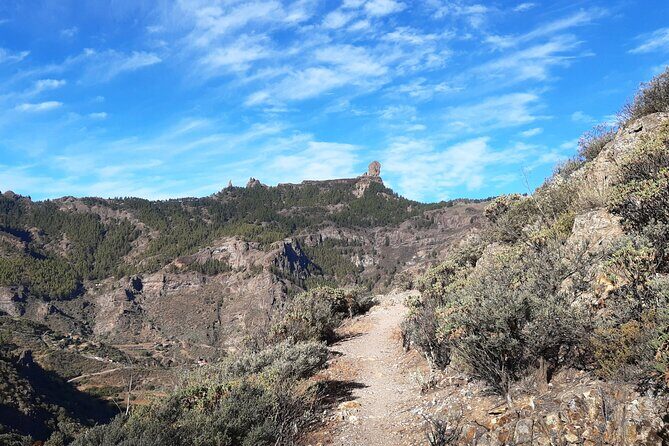 Hiking experience in the north of Gran Canaria - The walking day: moderate fitness, shoes that grip, and steady pacing