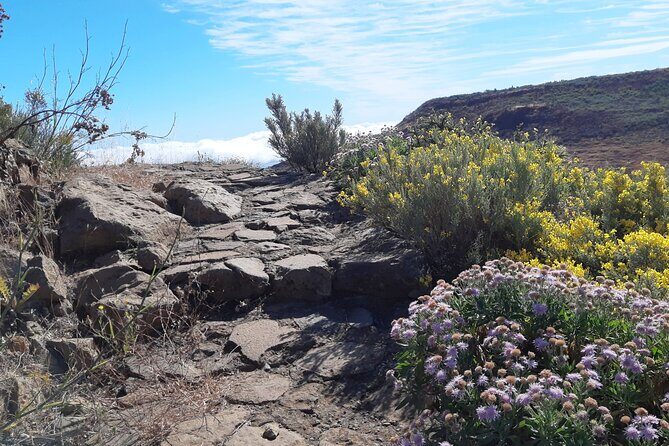 Hiking experience in the north of Gran Canaria - What the day feels like on the ground, starting from Maspalomas