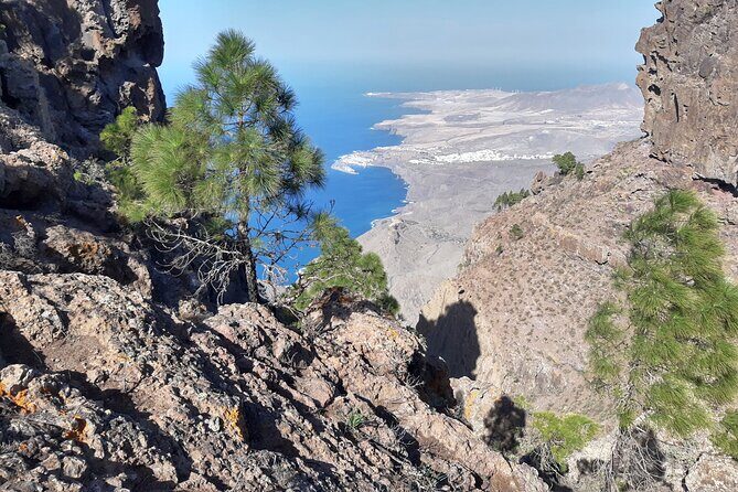 Hiking experience in the north of Gran Canaria - Lunch planning: restaurant meal or picnic when the route shifts