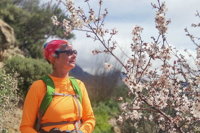 Hiking in the Sacred Mountains of Gran Canaria: UNESCO - La Caldera de Tejeda: a UNESCO crater with a sacred purpose