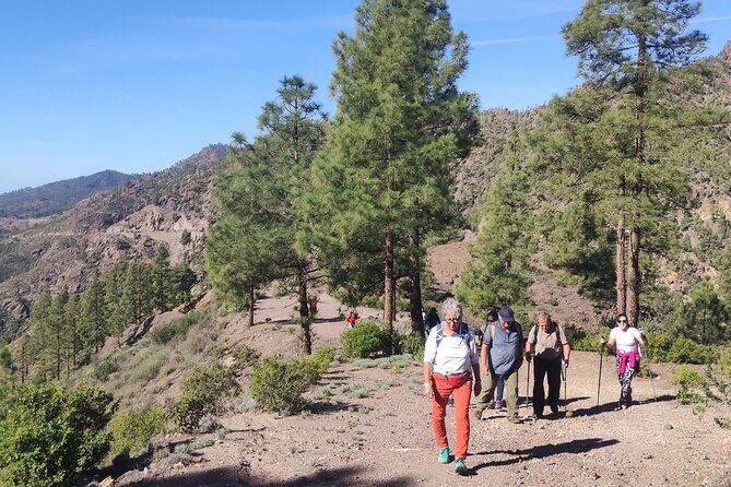 Hiking in the Sacred Mountains of Gran Canaria: UNESCO - Mesa de Acusa: caves, engravings, and the crater’s edge feeling