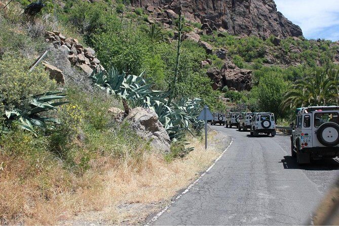 Jeep Tour 4x4 in Gran Canaria - Stop 3: Fataga, the ravine of 1,000 palms, and village views