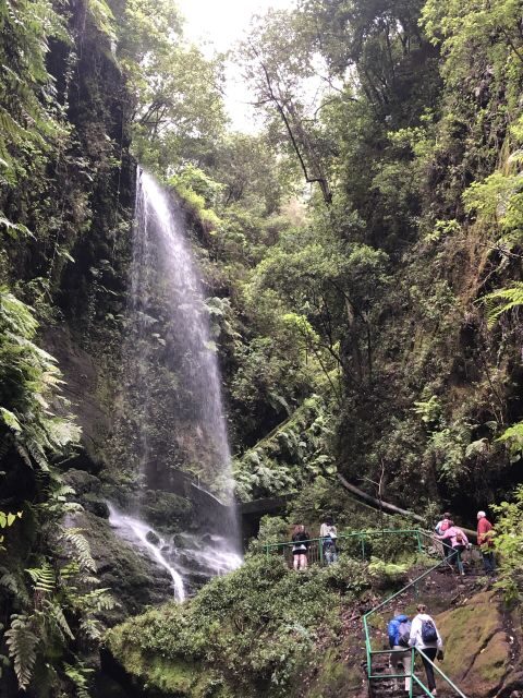 La Palma: North Island Bus Tour with Ron Aldea Distillery - Key things to know before you go