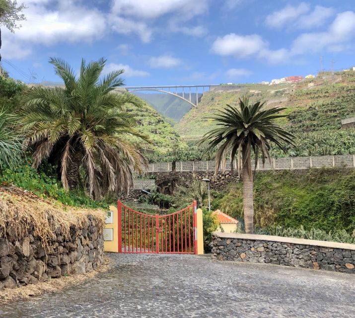 La Palma: North Island Bus Tour with Ron Aldea Distillery - Pickup timing and how to shape the day on an 8-hour schedule