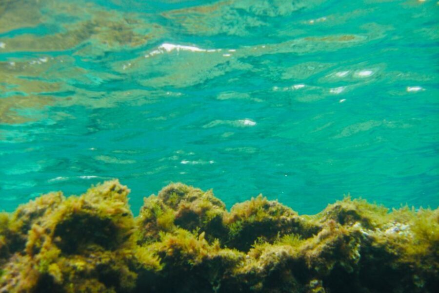 Las Canteras Scuba Diving - What the 3-hour schedule feels like in real life