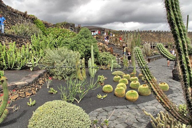 Las Palmas, Botanical Garden & Bandama Crater tour - Gran Canaria - Why This Day Tour Works So Well for First-Timers