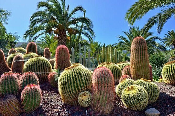 Las Palmas, Botanical Garden & Bandama Crater tour - Gran Canaria - Getting Onboard: Pickup, Timing, and Staying Sane