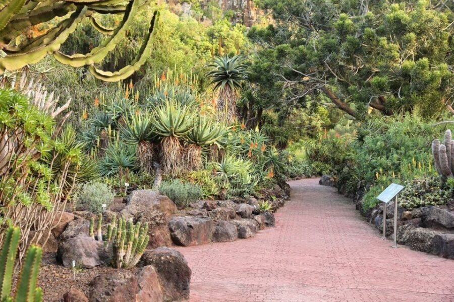 Las Palmas, Botanical Gardens and Bandama Volcano Tour - Getting picked up the right way (and avoiding last-minute stress)