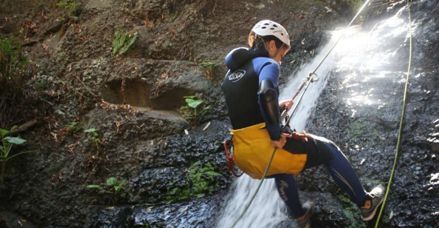 Las Palmas, Gran Canaria: Canyoning Adventure - Key things you should know before you go