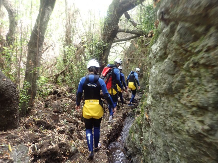 Las Palmas, Gran Canaria: Canyoning Adventure - Price and Value: $77 for 4 Hours of Guided Canyoning