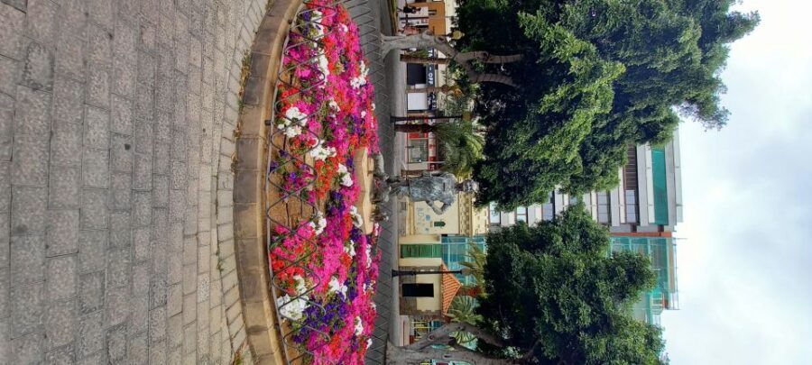 Las Palmas: Private City Highlights & Northern Villages Tour - Old city walking time: Santa Ana Square and a local guide who can steer