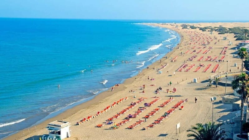 Maspalomas: 1 Hour Segway Sightseeing Tour - Price and value: what $51 gets you in a max-6 group