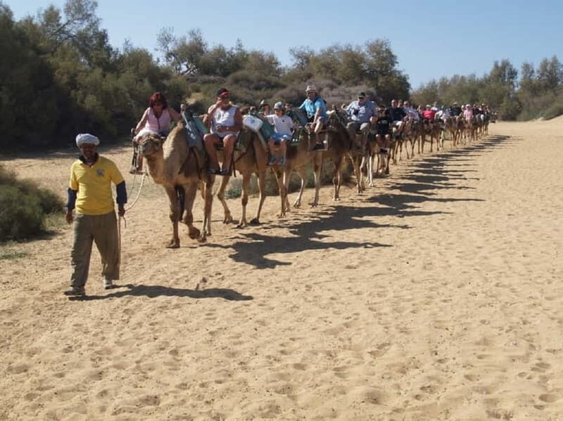 Maspalomas: 2-Seater E-Scooter Dunes Tour with Camel - Key Highlights at a Glance