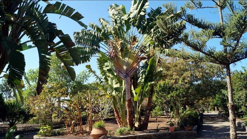 Maspalomas: 2-Seater E-Scooter Dunes Tour with Camel - Golden Dunes Nature Reserve and the Bird-Pond Charca Stop