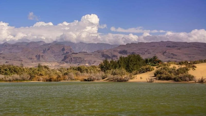Maspalomas: 2-Seater E-Scooter Dunes Tour with Camel - Botanical Garden Breaks and Why They’re Not Just a Detour