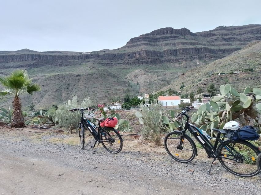 Maspalomas: Ayagaures E-Bike Mountain Tour Optional Tapas - Ayagaures Valley: palm shade, cactus shapes, and plant labels you’ll use later