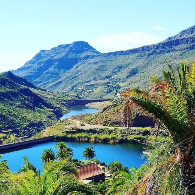Maspalomas: Ayagaures E-Bike Mountain Tour Optional Tapas - Maspalomas Parque del Sur: a plant-spotting stop with purpose