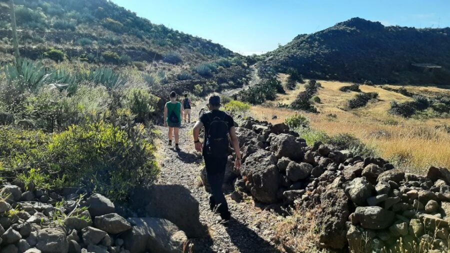 Maspalomas: Barranco de las Vacas, Caves, Farmhouse Tour - Traditional hamlet walk: how local life looks away from tourist crowds