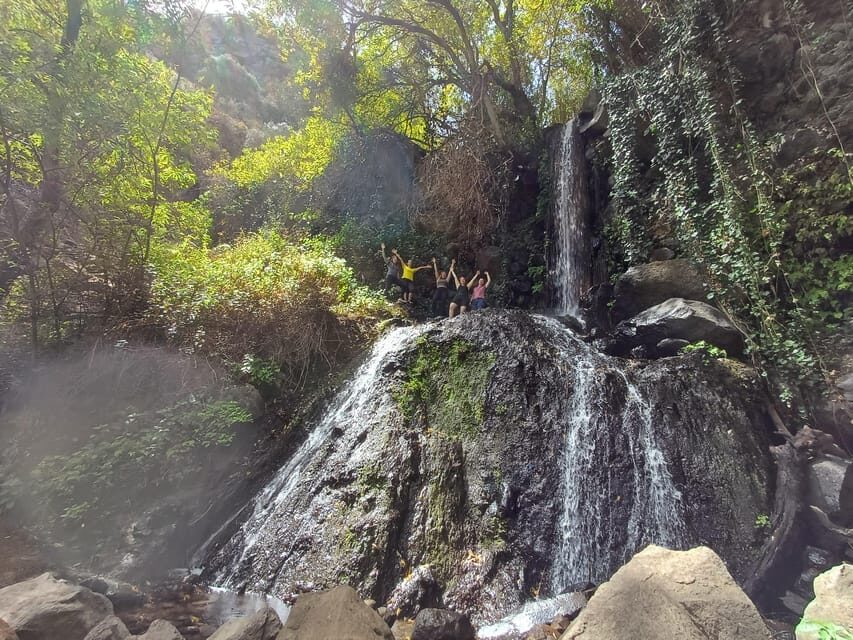 Maspalomas: Barranco de los Cernicalos Rainforest Hike - The hike plan: 8–9 km, 300 m unevenness, and smart stops