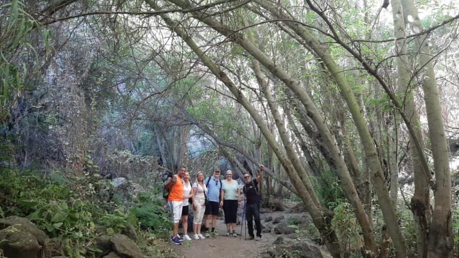 Maspalomas: Barranco de los Cernicalos Rainforest Hike - What you’ll see along the way: views, wildlife moments, and endemic plants