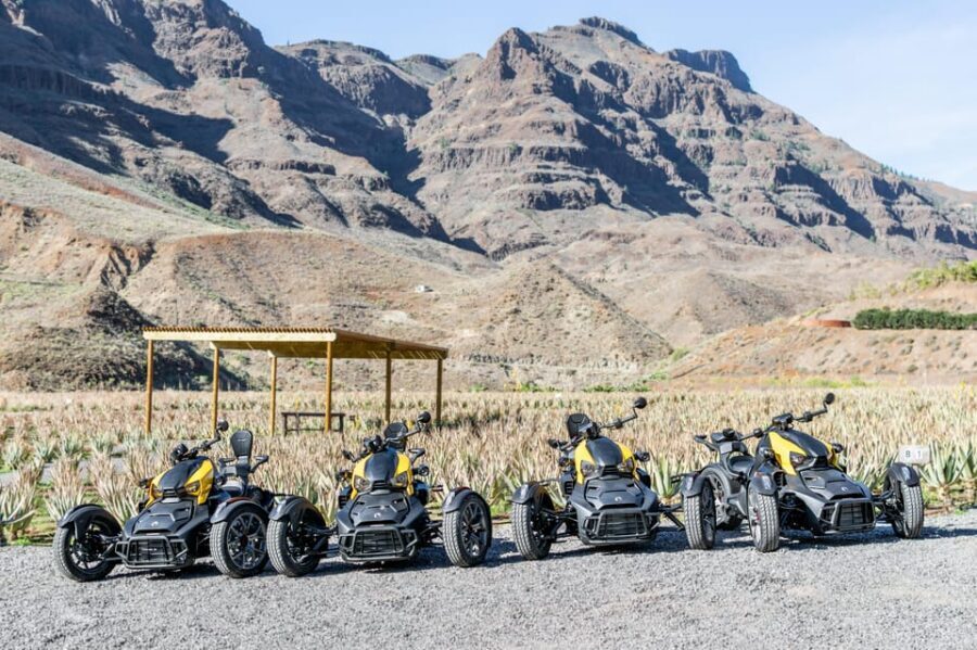 Maspalomas: Ryker Moto Tour to Fataga (Mountain buggy) - Getting from Maspalomas area to the mountain roads
