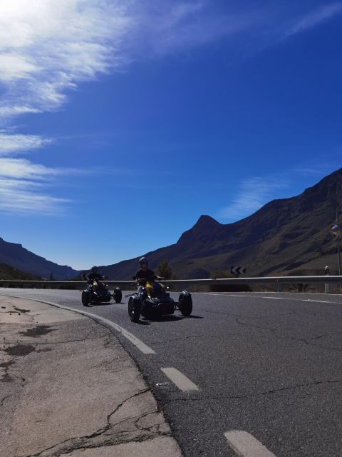 Maspalomas: Ryker Moto Tour to Fataga (Mountain buggy) - The Aloe Vera plantation stop: what it adds to the day