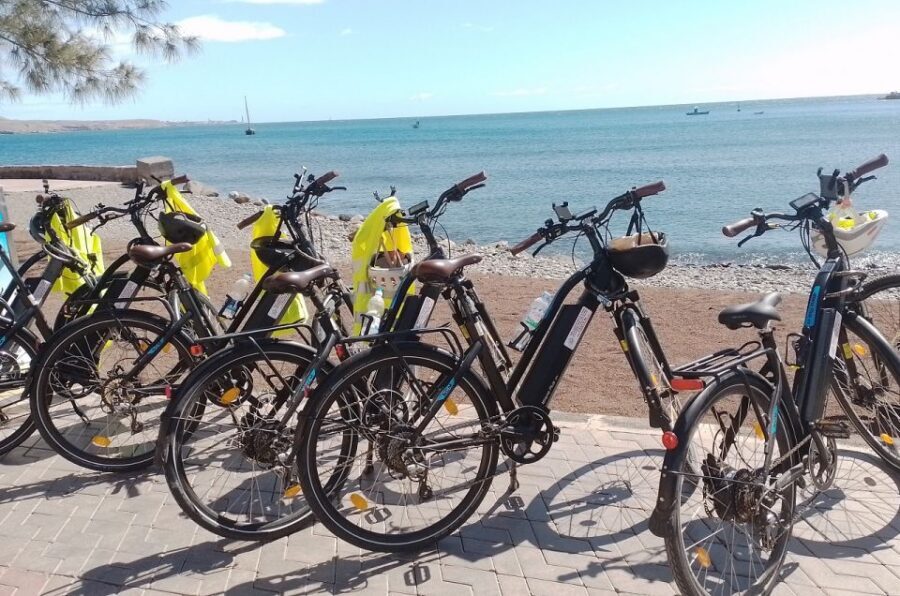 Maspalomas: Southern Coast E-Bike Tour Option Tapas Tasting - E-Bike Quality and Guide Style: The Small-Group Advantage