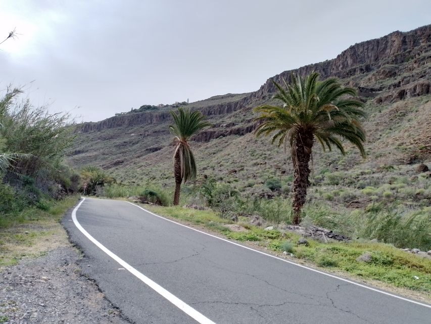 Maspalomas: Southern Coast E-Bike Tour Option Tapas Tasting - Why Maspalomas Works So Well on an E-Bike