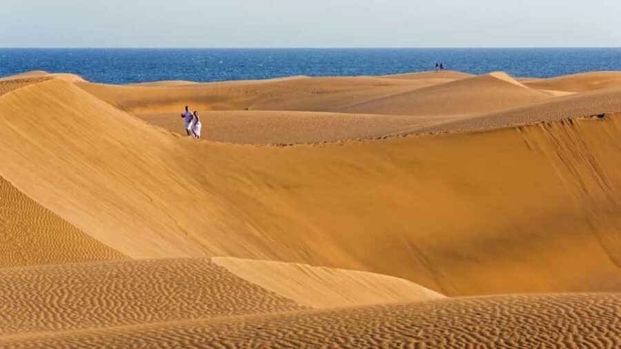 Maspalomas: Southern Coast E-Bike Tour Option Tapas Tasting - Maspalomas Dunes and La Charca: Desert Quiet, Bird Noise