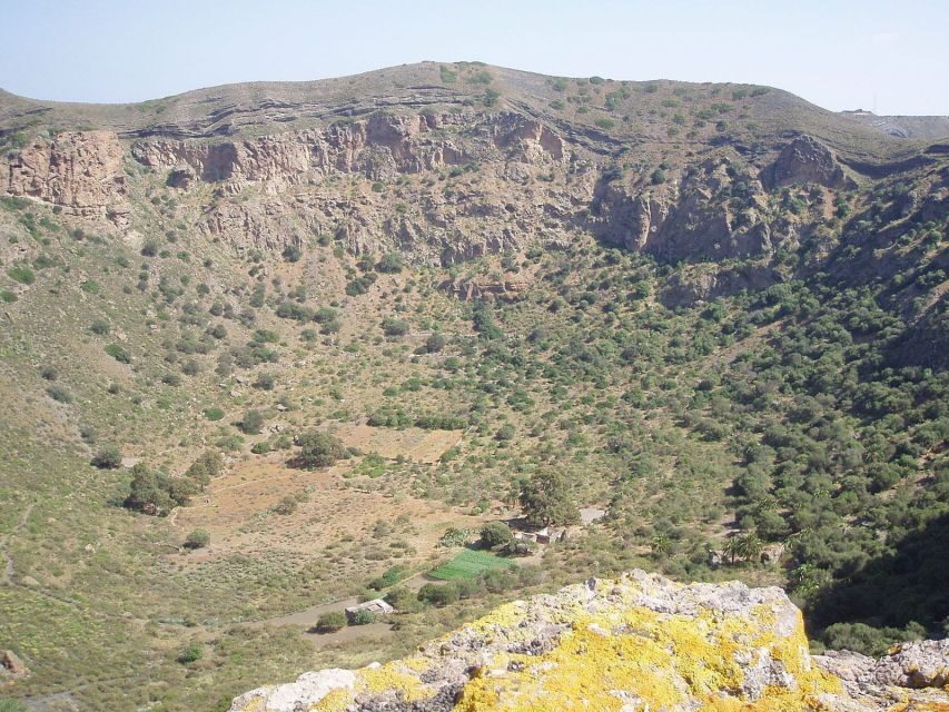 Private Bandama Caldera Volcano, Botanic Garden & Old Town - Old Town Las Palmas: your free time after the volcano and garden