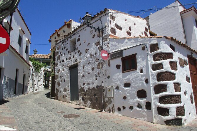 Private Excursion The mountains of Gran Canaria for 2 to 4 people - Key highlights worth planning for