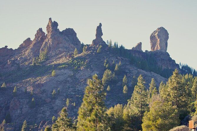Private Excursion The mountains of Gran Canaria for 2 to 4 people - Entering Gran Canaria’s mountains from a quieter starting line