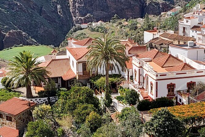 Private Excursion The mountains of Gran Canaria for 2 to 4 people - Mirador Degollada De La Yegua: the view that sets the tone