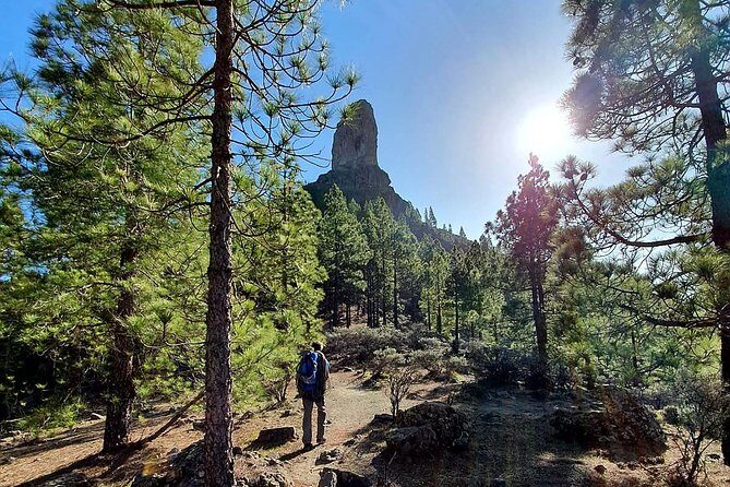 Professional climbing guide - Rock climbing in Gran Canaria: what the day is really like