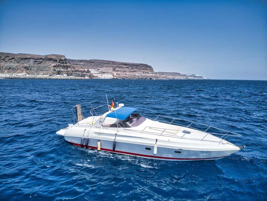 Puerto de Mogán: Private yacht up to 10 persons - What’s included: champagne, unlimited drinks, and an on-board meal