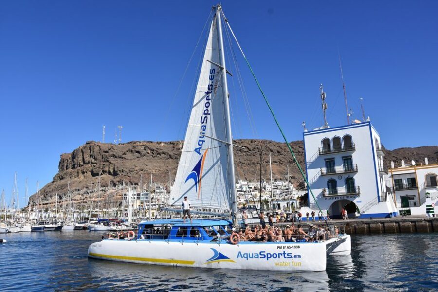 Puerto Rico: 4-Hour Catamaran Excursion in the South - Key highlights and what they mean for you