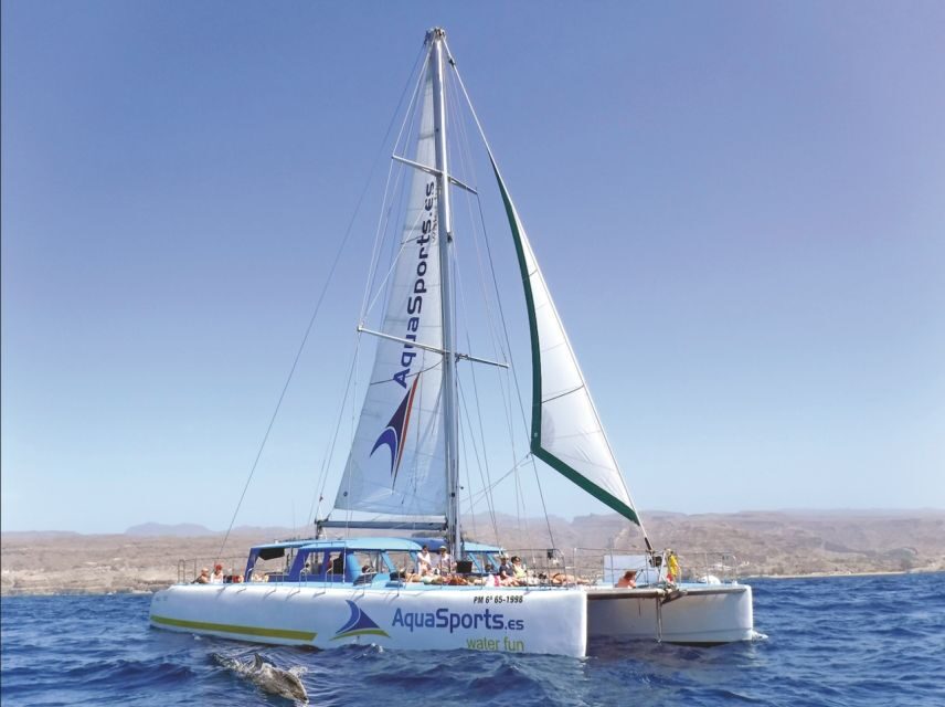 Puerto Rico: 4-Hour Catamaran Excursion in the South - Getting to the boat: south Gran Canaria, then back again