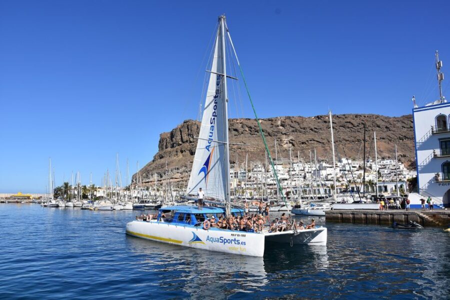 Puerto Rico: 4-Hour Catamaran Excursion in the South - Dolphins and whales: fun if it happens, not a goal