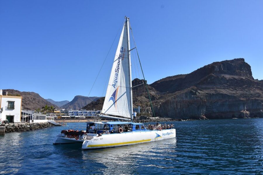 Puerto Rico: 4-Hour Catamaran Excursion in the South - The included banana ride: the fun part with a few practical notes