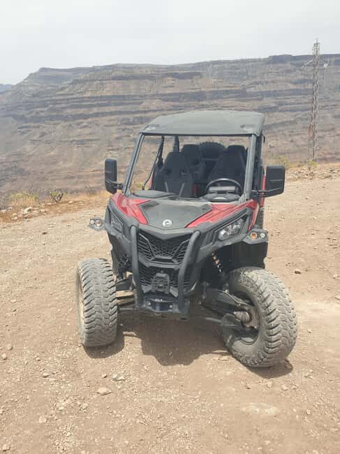 Puerto Rico de Gran Canaria: Dirt Buggy Tour - Wildlife facts and nature time along the dirt roads