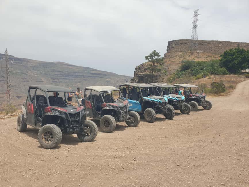 Puerto Rico de Gran Canaria: Dirt Buggy Tour - License rules and participant limits you should check first