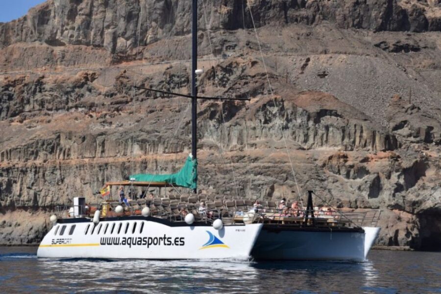 Puerto Rico de Gran Canaria: Premium Dolphin Catamaran Tour - Who Should Book This Dolphin Catamaran Tour?
