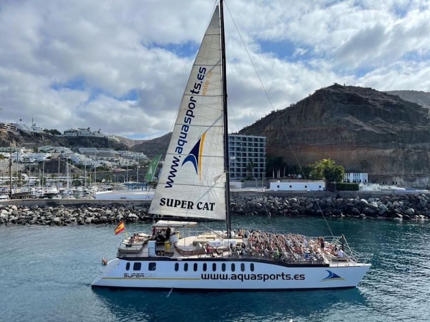 Puerto Rico de Gran Canaria: Premium Dolphin Catamaran Tour - The Dolphin Search: How the Crew Works the Ocean