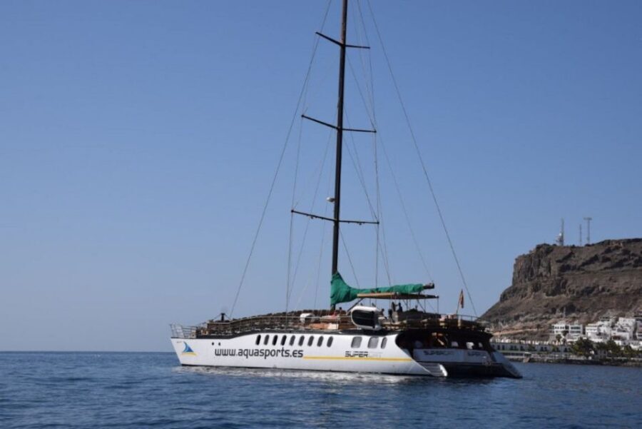 Puerto Rico de Gran Canaria: Premium Dolphin Catamaran Tour - Swimming and Snorkel: The Part You’ll Actually Remember