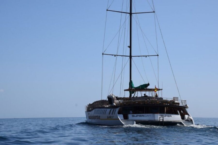Puerto Rico de Gran Canaria: Premium Dolphin Catamaran Tour - Banana Boat, Water Sports Discounts, and Optional Add-Ons